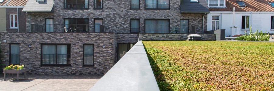 Un toit vert avec des cassettes de sedum installé sur une maison.