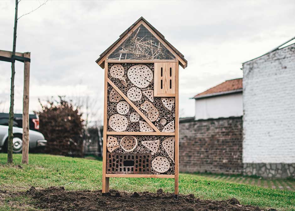 Insecten huisjes kopen op Jatu.be