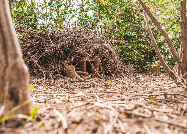 nestkasten kopen voor zoogdieren egels, eekhoorns en zoveel meer