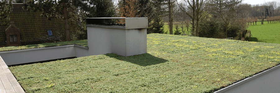 Groendak op modern gebouw, omringd door natuur.