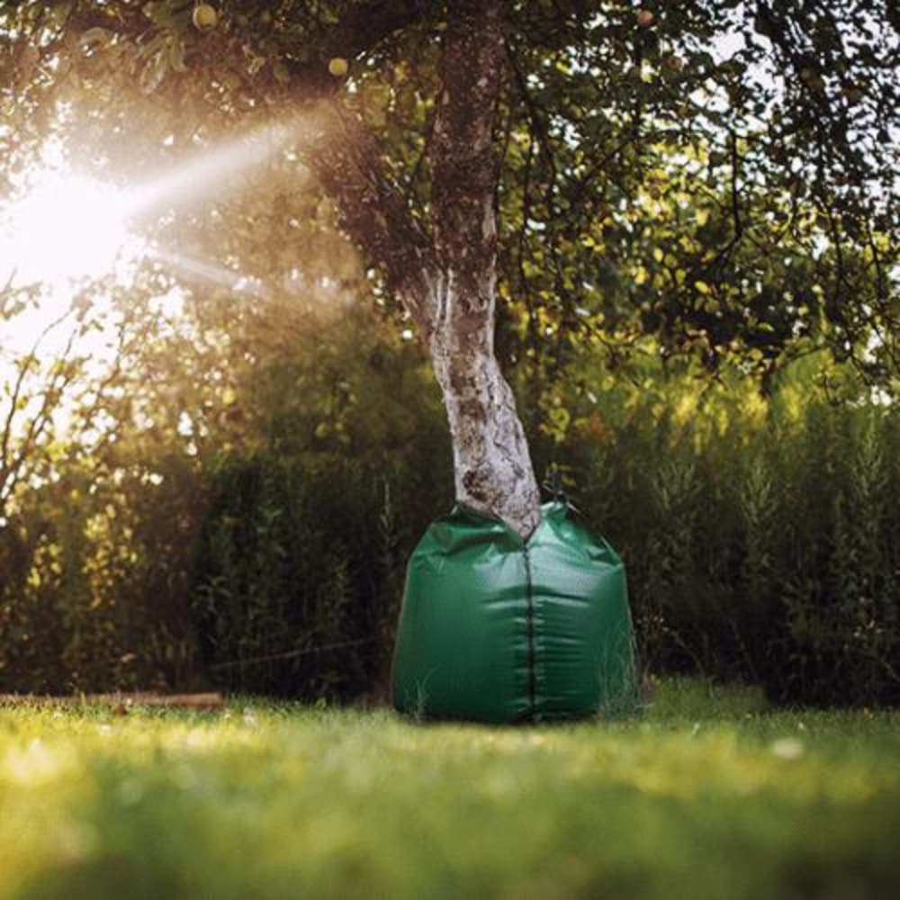 Arbre avec un sac d'eau vert dans un jardin ensoleillé