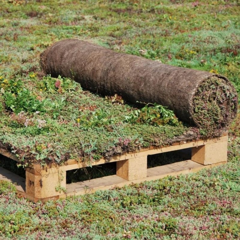 Sedummixmat op pallet, klaar voor installatie op groendak.