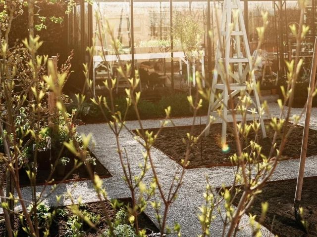 Hoe je tuin winterklaar maken? Ontdek onze tips op Jatu.be